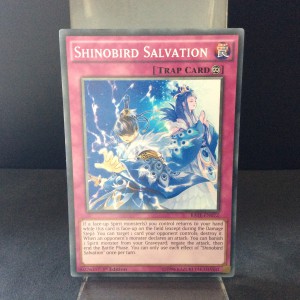 Shinobird Salvation