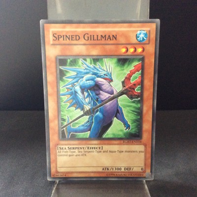 Spined Gillman