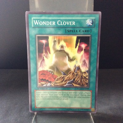 Wonder Clover
