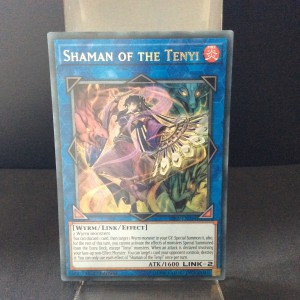 Shaman of the Tenyi