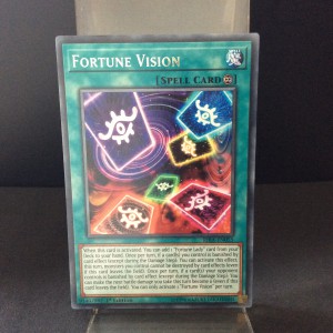 Fortune Vision
