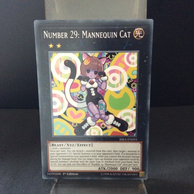 Number 29: Mannequin Cat