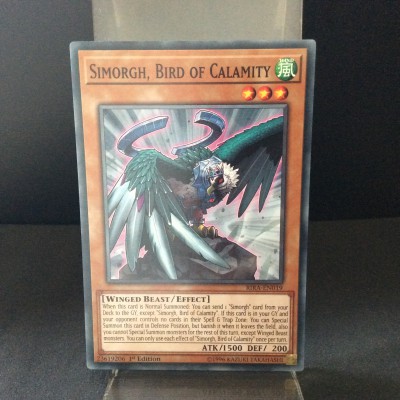 Simorgh, Bird of Calamity