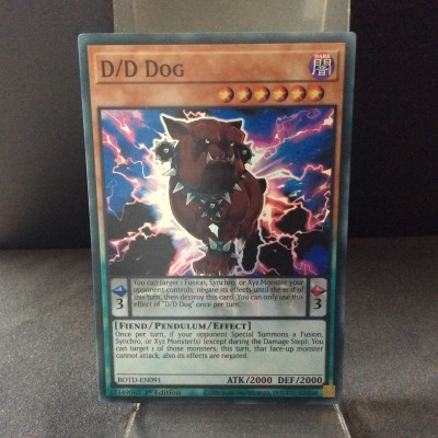D/D Dog
