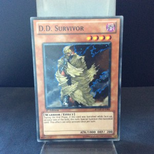 D.D. Survivor
