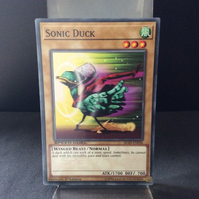 Sonic Duck