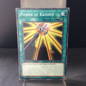 Power of Kaishin
