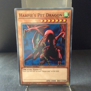 Harpie's Pet Dragon