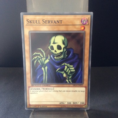 Skull Servant
