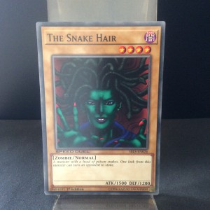 The Snake Hair