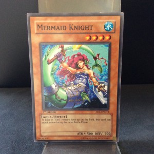 Mermaid Knight