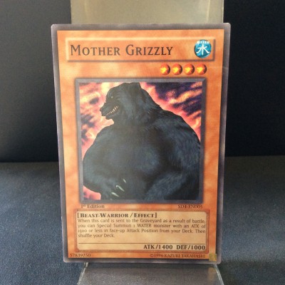 Mother Grizzly