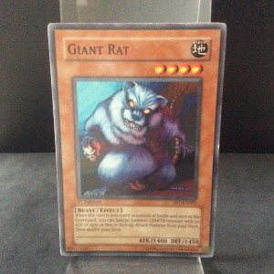 Giant Rat