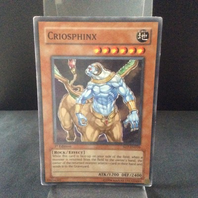 Criosphinx