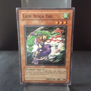 Lady Ninja Yae