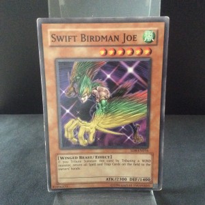 Swift Birdman Joe