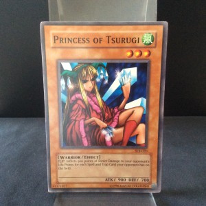 Princess of Tsurugi