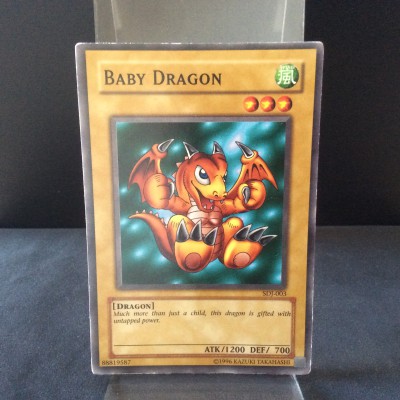 Baby Dragon