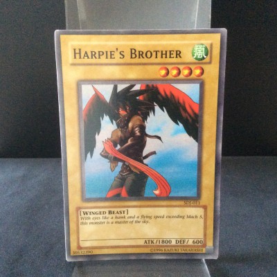 Harpie's Brother