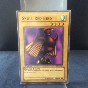 Skull Red Bird