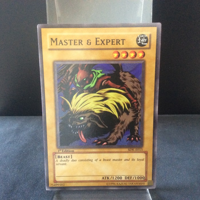Master & Expert - SDK-E015 - 1st edition - English - Excellent | TCGX