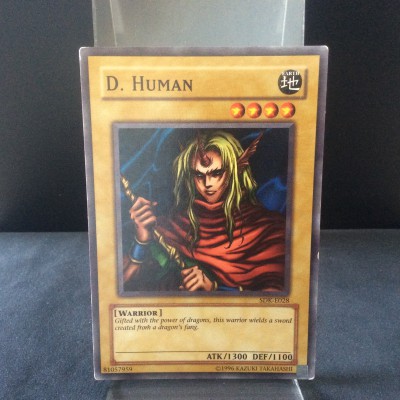 D. Human
