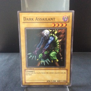 Dark Assailant