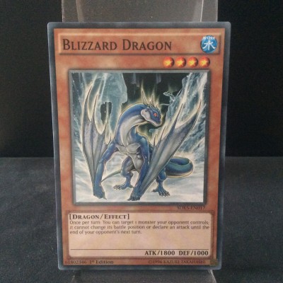 Blizzard Dragon