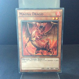 Magna Drago
