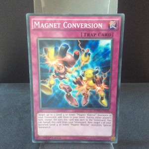 Magnet Conversion
