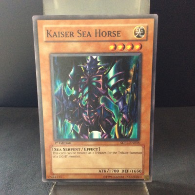 Kaiser Sea Horse
