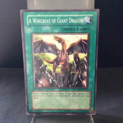 A Wingbeat of Giant Dragon