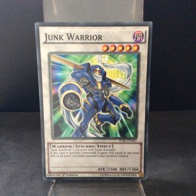Junk Warrior