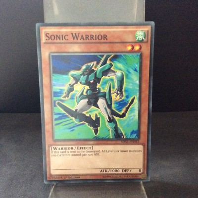 Sonic Warrior