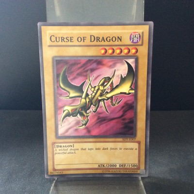 Curse of Dragon