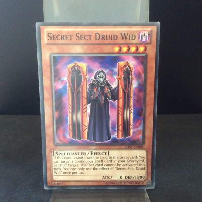 Secret Sect Druid Wid