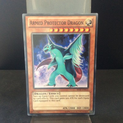 Armed Protector Dragon