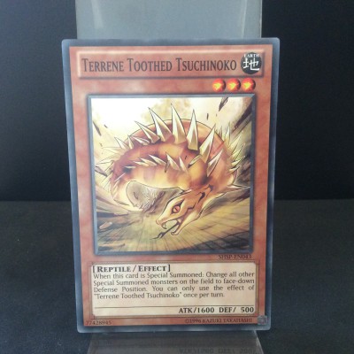 Terrene Toothed Tsuchinoko