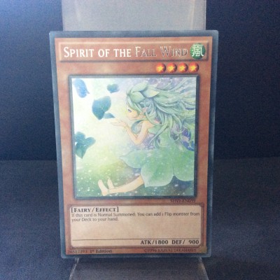 Spirit of the Fall Wind