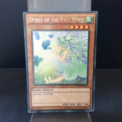 Spirit of the Fall Wind