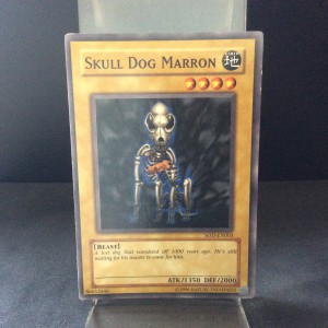 Skull Dog Marron