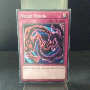 Necro Fusion
