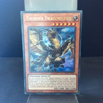 Thunder Dragonhawk