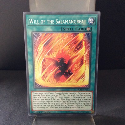 Will of the Salamangreat