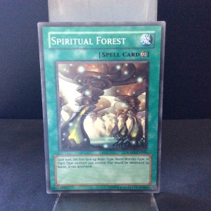 Spiritual Forest