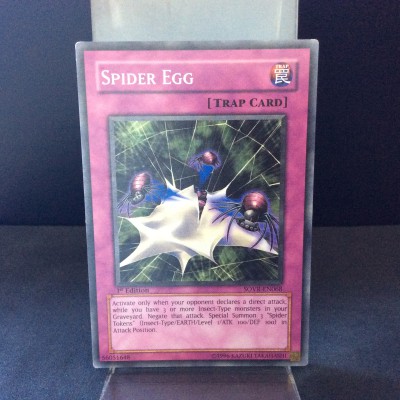 Spider Egg