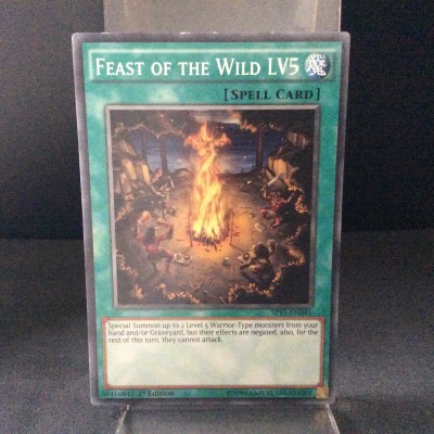 Feast of the Wild Lv5