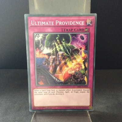 Ultimate Providence