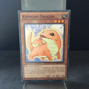 Kidmodo Dragon