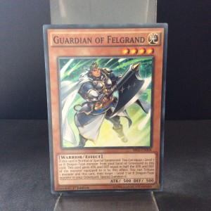 Guardian of Felgrand